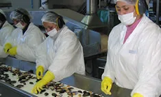 Mussel processing line