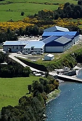 Toralla mussel processing plant in Chiloé